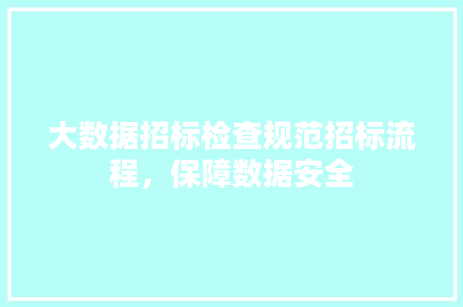 大数据招标检查规范招标流程，保障数据安全