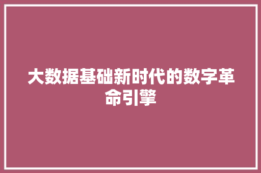大数据基础新时代的数字革命引擎