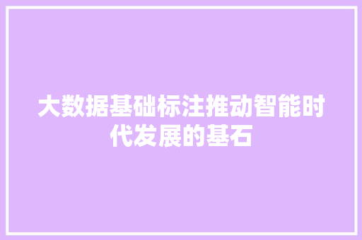 大数据基础标注推动智能时代发展的基石