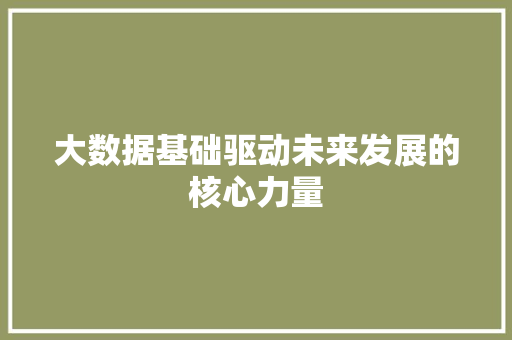 大数据基础驱动未来发展的核心力量