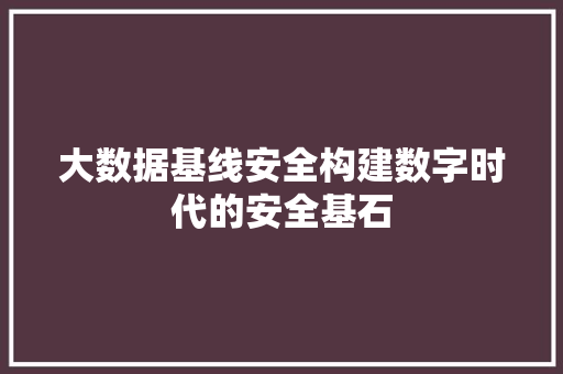 大数据基线安全构建数字时代的安全基石