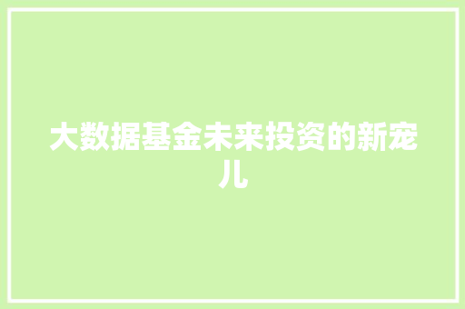 大数据基金未来投资的新宠儿 大数据基金未来投资的新宠儿