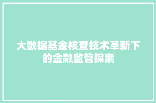 大数据基金核查技术革新下的金融监管探索 大数据基金核查技术革新下的金融监管探索