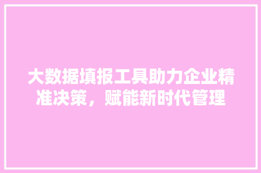 大数据填报工具助力企业精准决策,赋能新时代管理 大数据填报工具助力企业精准决策,赋能新时代管理