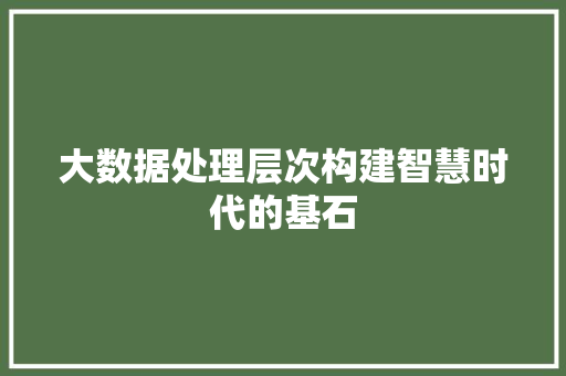 大数据处理层次构建智慧时代的基石 大数据处理层次构建智慧时代的基石