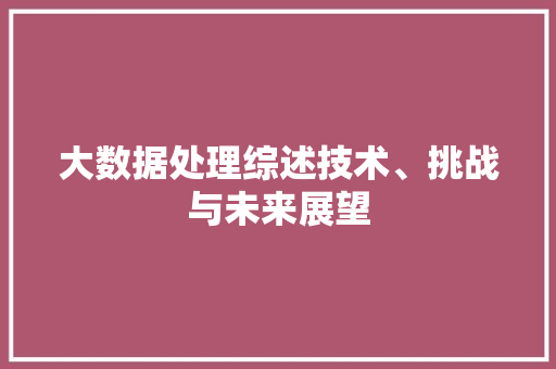 大数据处理综述技术、挑战与未来展望