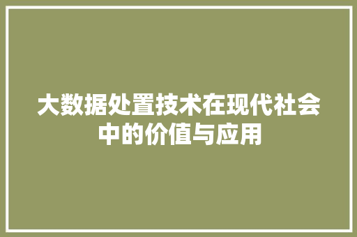 大数据处置技术在现代社会中的价值与应用