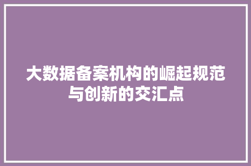 大数据备案机构的崛起规范与创新的交汇点