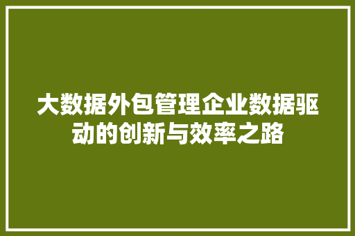 大数据外包管理企业数据驱动的创新与效率之路