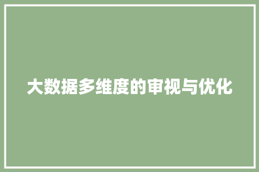 大数据多维度的审视与优化 大数据多维度的审视与优化