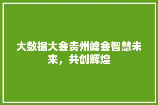 大数据大会贵州峰会智慧未来,共创辉煌 大数据大会贵州峰会智慧未来,共创辉煌