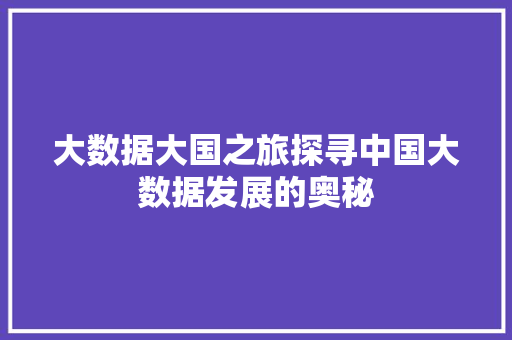大数据大国之旅探寻中国大数据发展的奥秘 编程语言