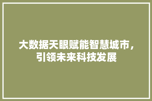 大数据天眼赋能智慧城市，引领未来科技发展