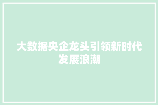 大数据央企龙头引领新时代发展浪潮