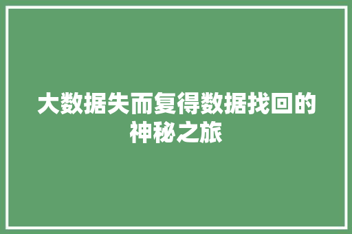 大数据失而复得数据找回的神秘之旅