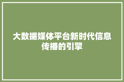 大数据媒体平台新时代信息传播的引擎