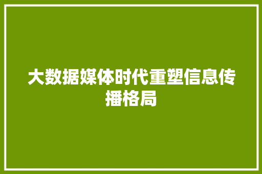 大数据媒体时代重塑信息传播格局
