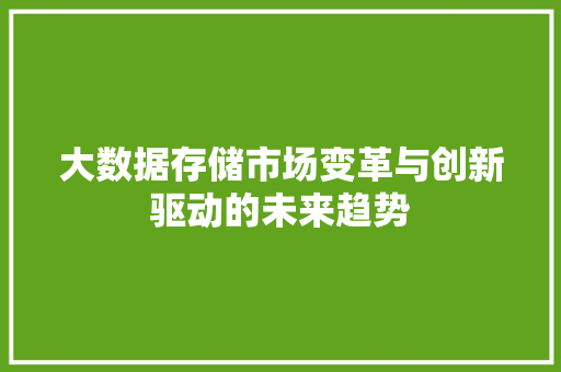 大数据存储市场变革与创新驱动的未来趋势