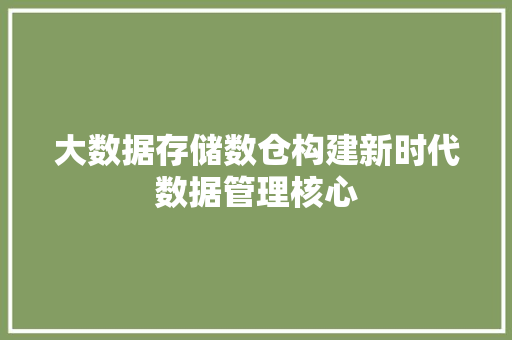 大数据存储数仓构建新时代数据管理核心