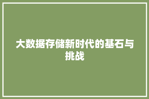 大数据存储新时代的基石与挑战