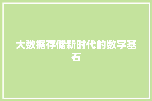 大数据存储新时代的数字基石