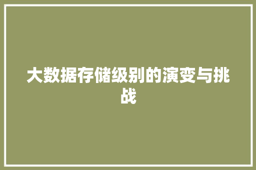 大数据存储级别的演变与挑战
