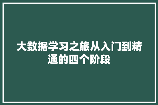 大数据学习之旅从入门到精通的四个阶段