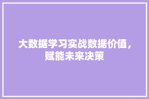 大数据学习实战数据价值，赋能未来决策