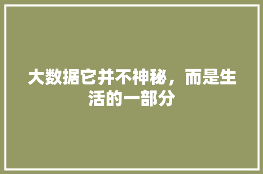 大数据它并不神秘，而是生活的一部分