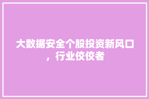 大数据安全个股投资新风口，行业佼佼者