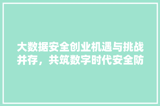 大数据安全创业机遇与挑战并存，共筑数字时代安全防线
