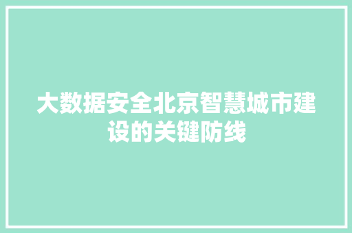 大数据安全北京智慧城市建设的关键防线