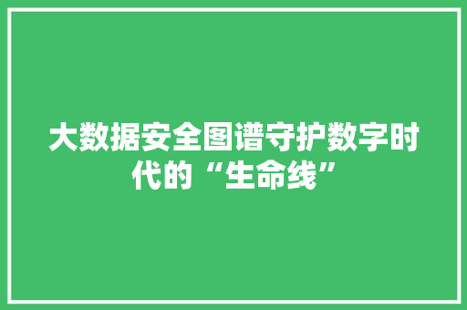 大数据安全图谱守护数字时代的“生命线”