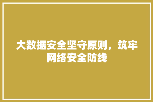 大数据安全坚守原则，筑牢网络安全防线 操作系统