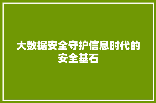 大数据安全守护信息时代的安全基石