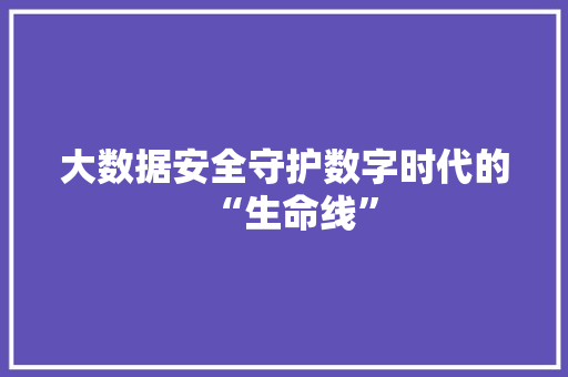 大数据安全守护数字时代的“生命线”