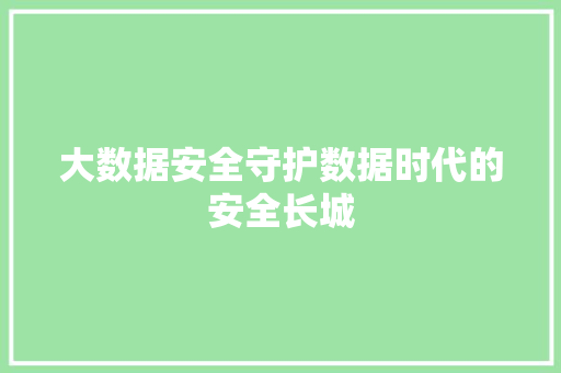 大数据安全守护数据时代的安全长城