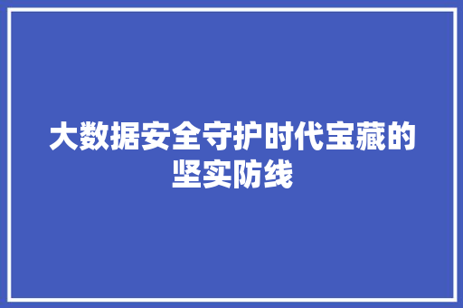 大数据安全守护时代宝藏的坚实防线