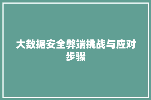 大数据安全弊端挑战与应对步骤