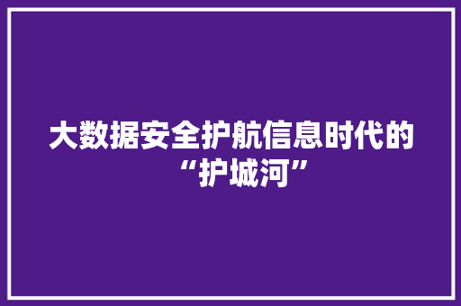 大数据安全护航信息时代的“护城河”