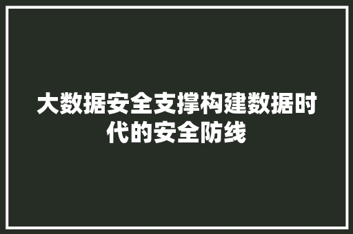 大数据安全支撑构建数据时代的安全防线