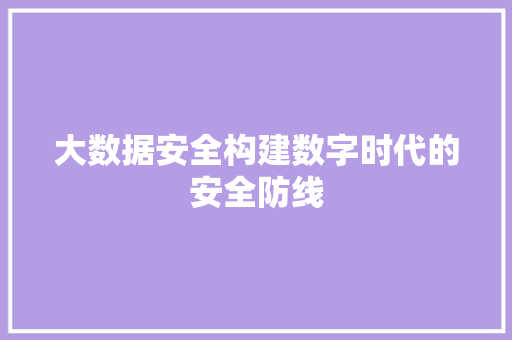 大数据安全构建数字时代的安全防线