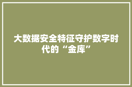 大数据安全特征守护数字时代的“金库”