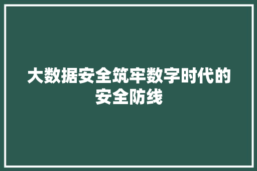 大数据安全筑牢数字时代的安全防线