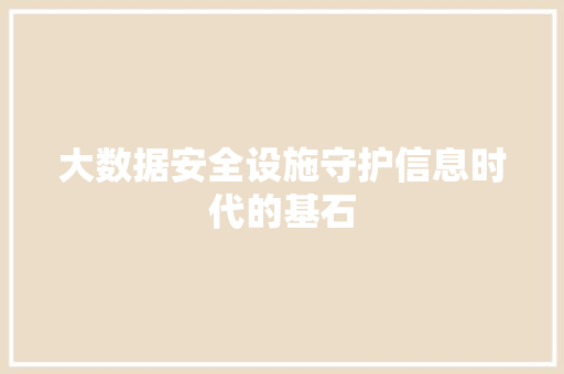 大数据安全设施守护信息时代的基石
