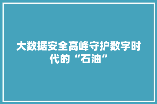 大数据安全高峰守护数字时代的“石油”