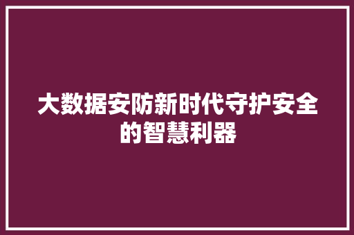 大数据安防新时代守护安全的智慧利器