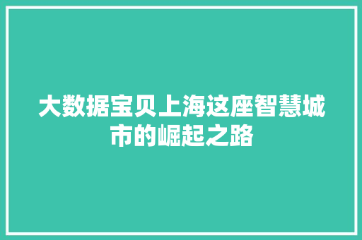 大数据宝贝上海这座智慧城市的崛起之路