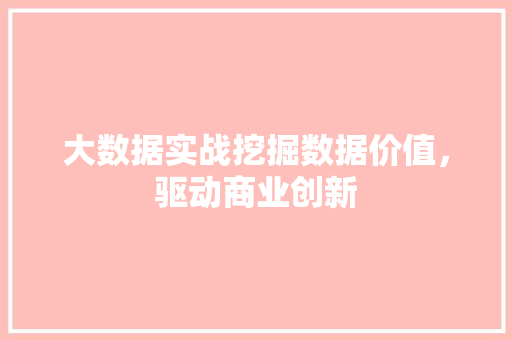 大数据实战挖掘数据价值，驱动商业创新