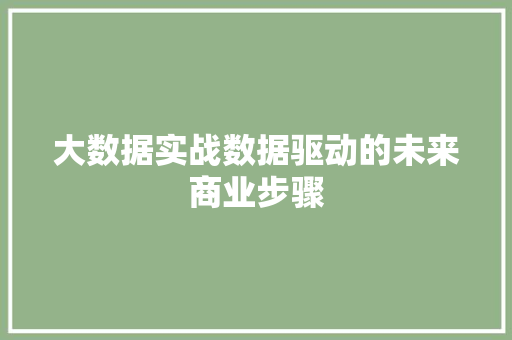 大数据实战数据驱动的未来商业步骤 操作系统